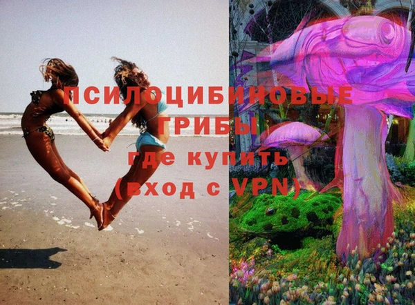 а пвп мука Алзамай