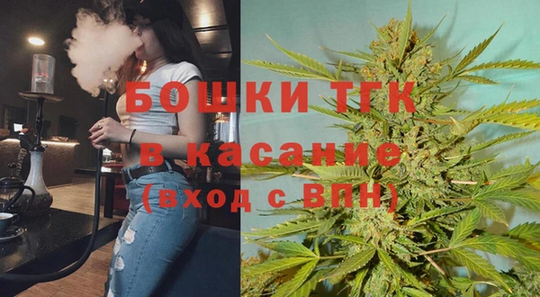 мет Алексин