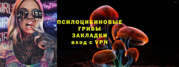 а пвп мука Алзамай