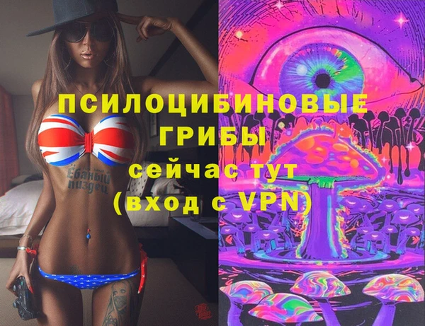 а пвп мука Алзамай
