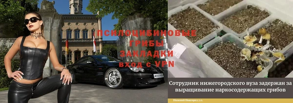 круглые Алексеевка